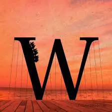 w images